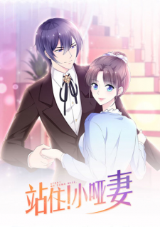 My Lovely Wife Episode 1-20